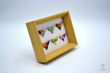 Charger l&#39;image dans la galerie, Cadre papillons en papier origami de couleurs variées

