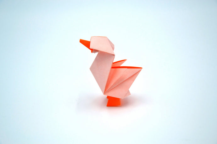 Convention origami à Lyon : Bilan