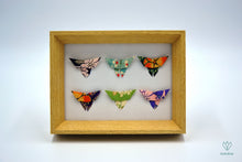 Charger l&#39;image dans la galerie, Cadre papillons en papier origami de couleurs variées
